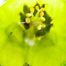 免费ddos压力测试平台